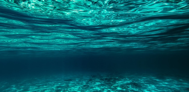 Unterwasserkorallenriff am Roten Meer