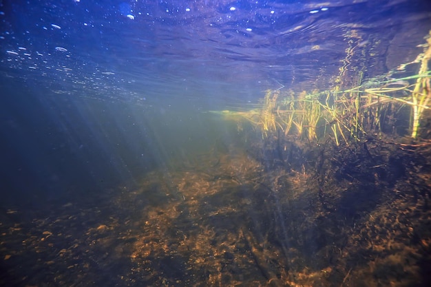Unterwasserlandschaft transparenter See / Süßwasser-Ökosystem ungewöhnliche Landschaft unter Wasser