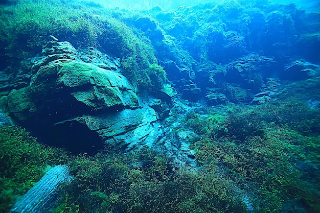 Unterwassersee anzeigen, Süßwasserlandschaft Ökosystem klares Wasser