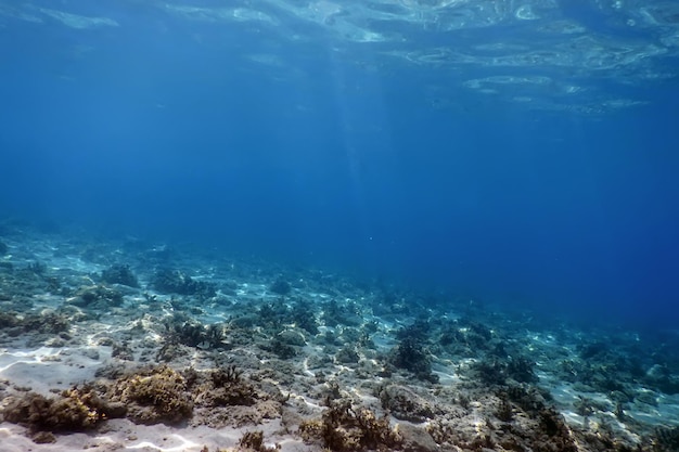 Unterwasserszene Sonnenlicht, Fisch Unterwasserleben.