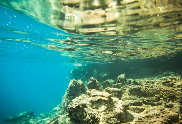 Unterwasserwelt auf Wellenhintergrund