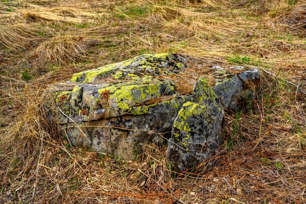 Ural del sur kurumnik piedras adoquines musgo con un paisaje único vegetación y diversidad de nat