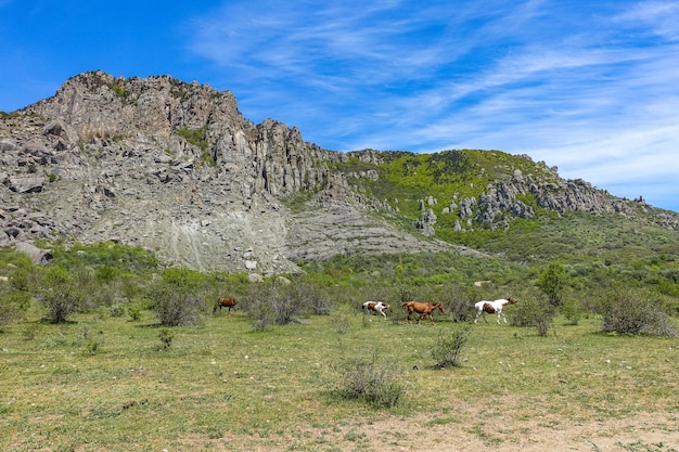 Uralte Kalkstein-Hochgebirge im Luftdunst Das Tal der Geister Demerji Mai 2021 Krim Russland