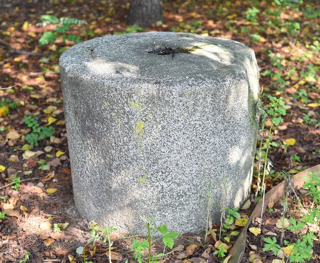 Foto uralter mühlstein oder mühlstein, der in mahlwerken verwendet wird