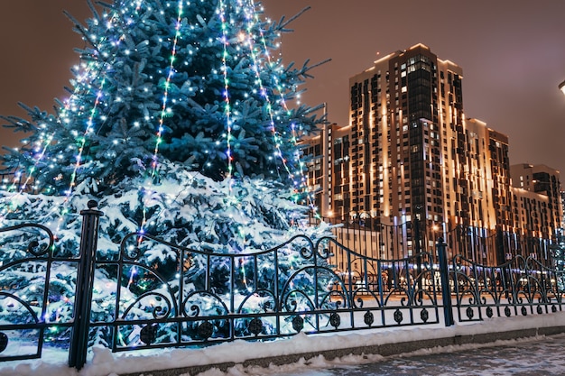 Urbane Winterlandschaft, schneebedeckter Baum und hoch