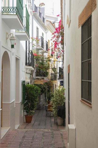 Urlaub, Architektur und Straßen mit weißen Blumen in Marbella, Andalusien, Spanien