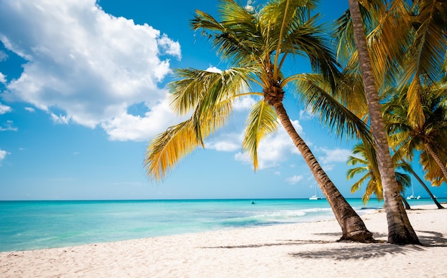 Urlaub Sommerferien Hintergrundbild sonnigen tropischen karibischen Paradiesstrand mit weißem Sand auf den Seychellen Insel Praslin Thailand Stil mit Palmen