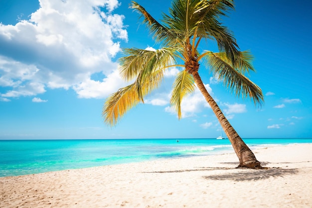 Urlaub Sommerferien Hintergrundbild sonnigen tropischen karibischen Paradiesstrand mit weißem Sand auf den Seychellen Insel Praslin Thailand Stil mit Palmen
