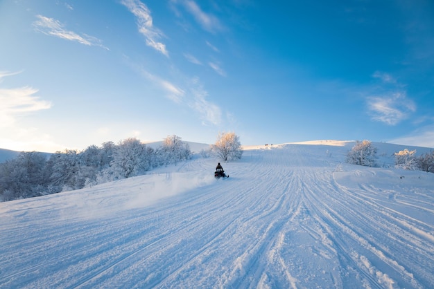 Urlauber, die an den Skiorttouristen im Bergkarpatental fröhlich sind, fahren schnelle Snowboards und Skis