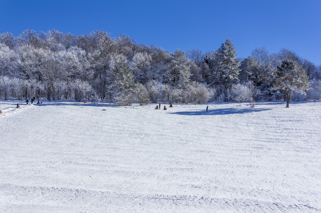 Urlauber Touristen mit Kindern fahren auf einem aufblasbaren Schlitten auf einem schneebedeckten Hang an einem Wintertag