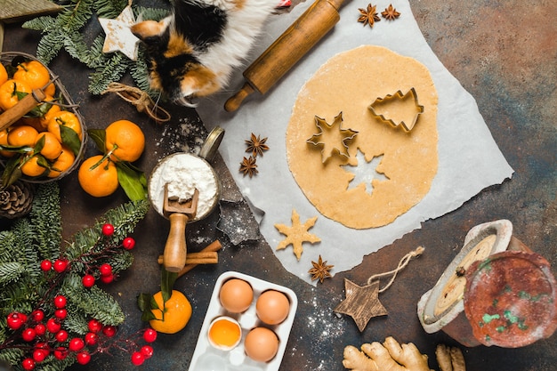 Urlaubszutaten für die Herstellung von Weihnachts-Ingwer-Keksen, kleinen Bäumen und Schneeflocken-Katzenkopf-Geruch...