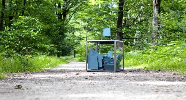 Urnas colocadas en la representación 3D de las elecciones forestales