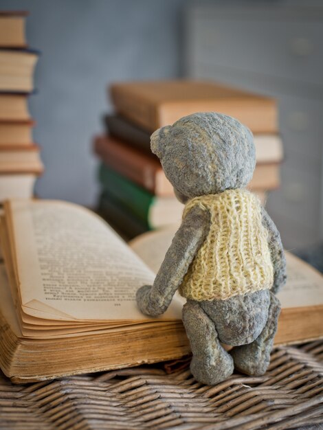 Ursinho de pelúcia ursinho lendo um livro na biblioteca