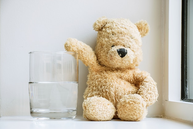 Foto urso com meio copo de água.