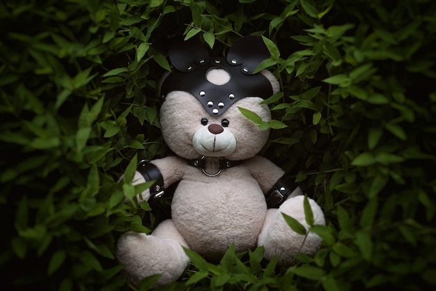 Urso de pelúcia BDSM em tiras de couro e acessório de máscara para jogos sexuais no verão na grama verde
