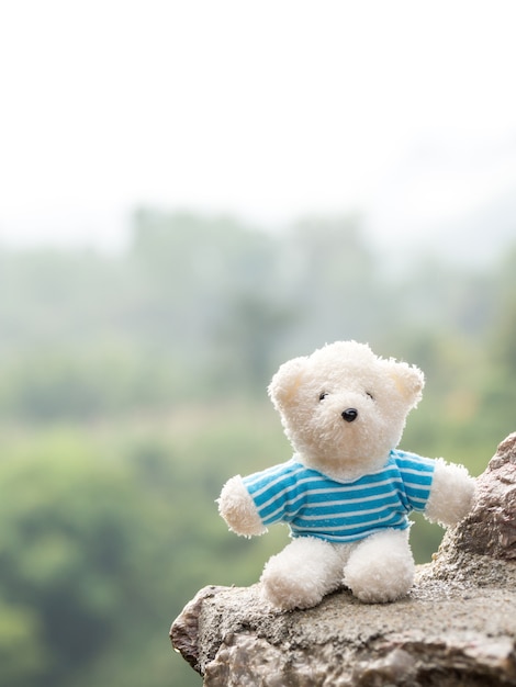 Foto urso de pelúcia branco na pedra