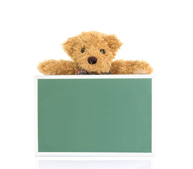 Urso de pelúcia com placa verde vazia
