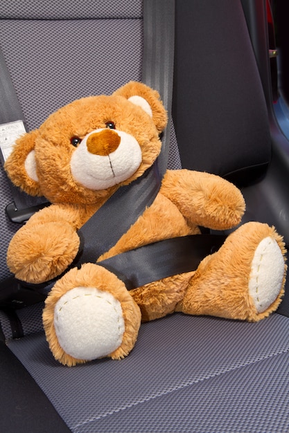 Urso de pelúcia em um carro