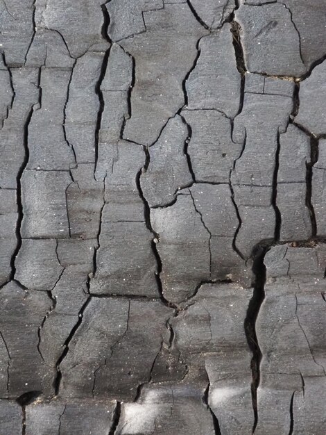 ursprüngliche Struktur aus verbranntem Holz