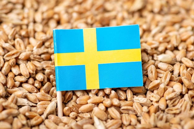 Ursprung des Konzepts der Weizenagribusiness in Schweden
