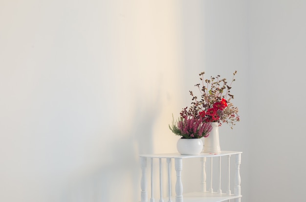 Urze em vaso de flores e buquê em um vaso em fundo branco