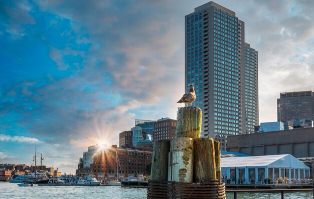 USA Boston Harbor und Panoramablick auf die Skyline der Stadt