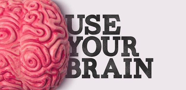 Usa tu palabra cerebral junto a un modelo de cerebro humano