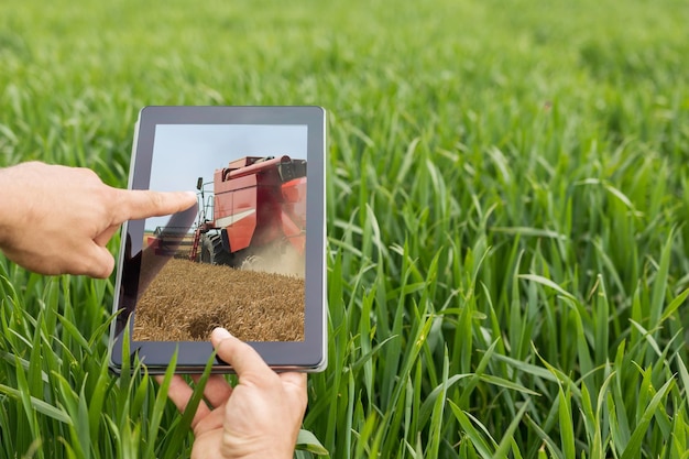 Foto usando tableta en campo de trigo. agricultura moderna. concepto de futuros de trigo.