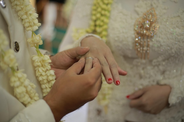 Use un anillo Anillos de boda símbolo amor familia Un par de anillos de boda sencillos