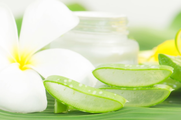 Uso de aloe vera preparado en el spa para el cuidado de la piel y cosméticos