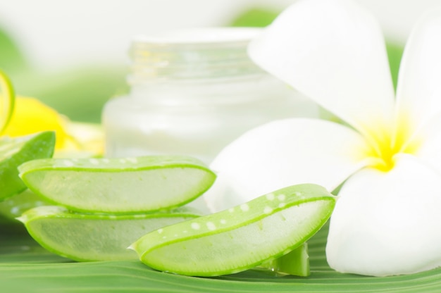 Uso de aloe vera preparado en el spa para el cuidado de la piel y cosméticos