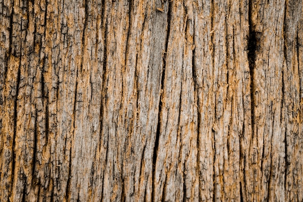 Foto uso de textura de madeira antiga para plano de fundo