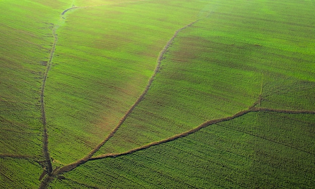 El uso de drones en la industria agrícola.