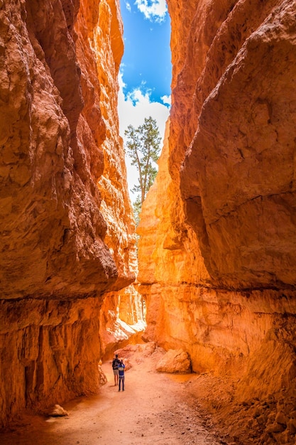 Utah May pessoas em viagem de caminhada em Bryce Canyon National Park Utah Estados Unidos