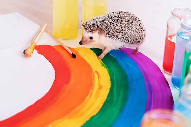 Сute Igel läuft um den Regenbogen. Kleines Haustier. Grelle Farbe. Stolz Tag. Gay Pride LGBTQ Flagge.