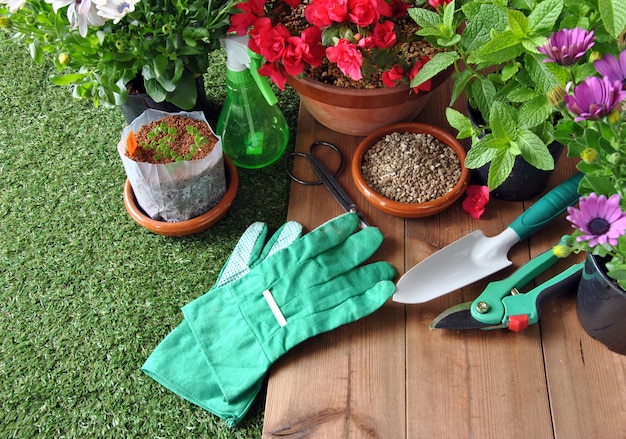 Utensilios de jardinería sobre hierba y mesa de madera con varios tipos de plantas.