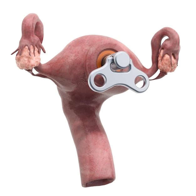 Útero humano com chave de enrolamento Renderização em 3D do conceito de tratamento e recuperação