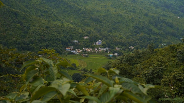 Uttarakhand belleza verde imagen disparar al aire libre hd