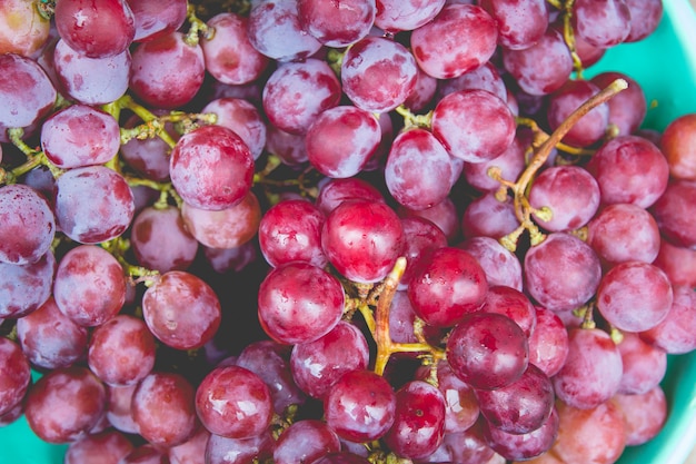 Foto uva roja con gotas de agua, primer plano