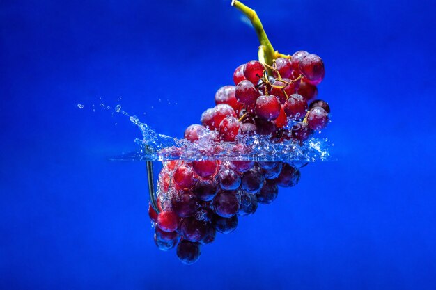 Uva roja madura. Fondo azul del agua del chapoteo