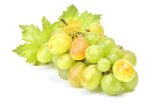 Uvas aisladas en blanco