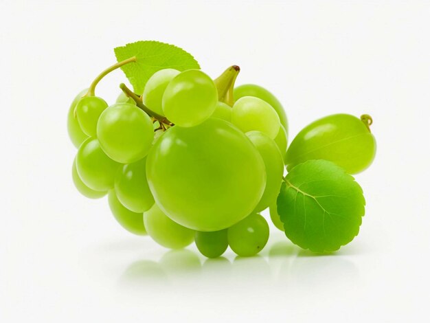 uvas aisladas