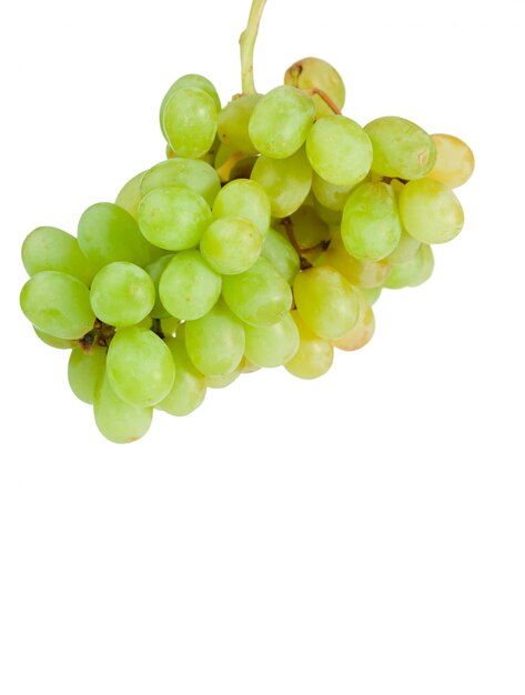 Uvas Aloft