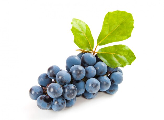 Foto uvas azules con hoja