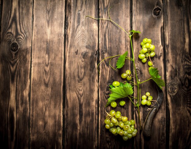 Uvas blancas con un cuchillo viejo.