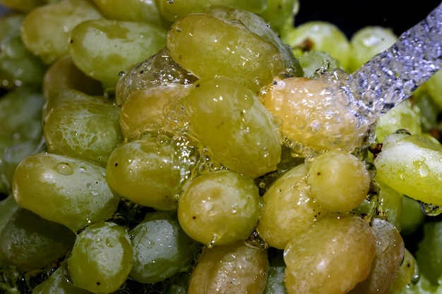 Uvas blancas sin semillas en un racimo bajo un chorro de agua limpia fotografía macro de cerca