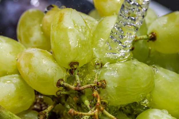 Uvas blancas sin semillas en un racimo bajo un chorro de agua limpia fotografía macro de cerca