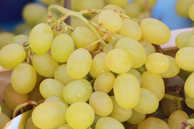 uvas blancas