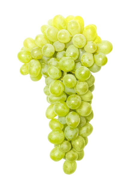 Uvas brancas cacho de colheita fresca verde em fundo branco isolado