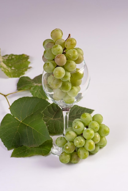 Uvas, cachos de uvas verdes colocados junto com uma cesta de palha e uma tigela na superfície branca, foco seletivo.